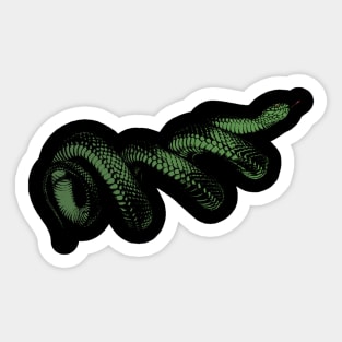 Coiled Snake Sticker